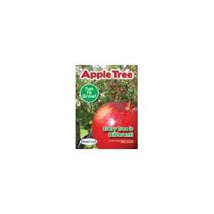 Apple Tree Seed Pack Grow Your Own Fruit 