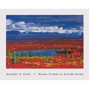  Anthony Cook   Alaska Tundra In Autumn Glory Canvas
