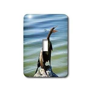 Florene Birds   Hard To Swallow   Light Switch Covers   single toggle 