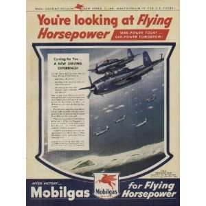 Youre looking at Flying Horsepower   U.S. Navy Grumman TBF Avenger 
