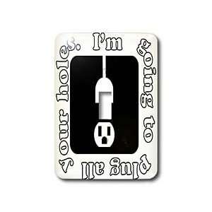McDowell Graphics Adult Humor   Plug Holes   Light Switch Covers 