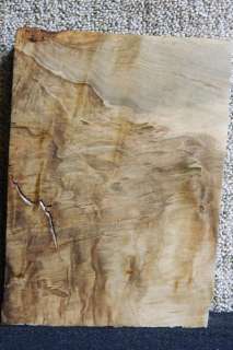 Spalted Ambrosia Maple Smoky Fiddleback Figured Lumber Slab 5360 