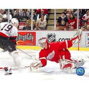  Dominik Hasek   06 / 07 Detroit Red Wings NHL Hockey 