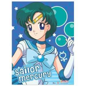  Sailor Moon Sailor Mercury Wall Scroll Toys & Games