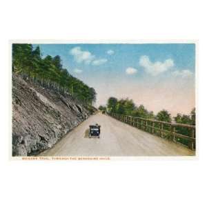 View of the Mohawk Trail with Model Ts, Through the Berkshire Hills 