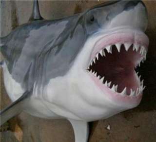 NEW 4 DANGERous ShARKs TeeTh nECKLACE  Tiger Mako Oceanic Bull 