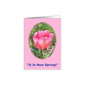  Spring Season Poem Any Occasion, Pink Tulip Card Health 