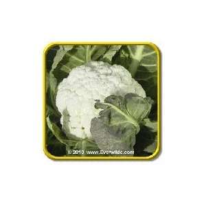  1/4 Lb   Snowball Self Blanching   Bulk Cauliflower 