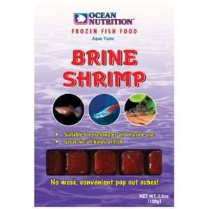  Brine Shrimp Plus Cubes