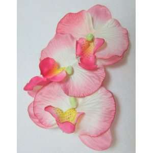  NEW Triple Pink Orchid Hair Flower Clip, Limited.: Beauty