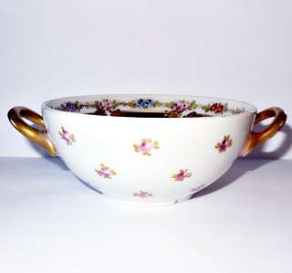 Beautiful Sevres Signed Porcelain Soup Bowl  