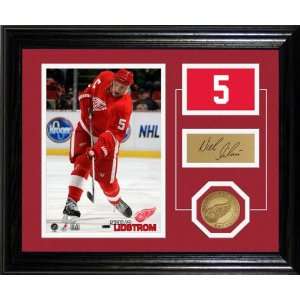   Detroit Red Wings Player Pride Desk Top Photograph