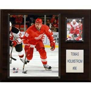    NHL Tomas Holmstrom Detroit Red Wings Player Plaque
