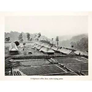  1913 Print Coffee Finca Adobe Drying Patios San Salvador 