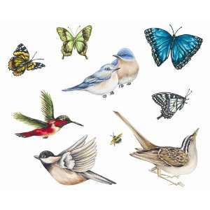   Birds & Butterflies   Tatouage Rub On Wall Transfer