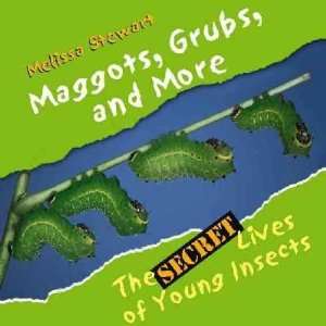  Maggots, Grubs, and More: Melissa Stewart: Books