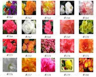 100 Wedding Custom Mintbooks Flowers GP #4  