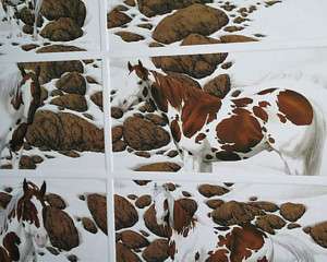 Greenwich Folio SN Bev Doolittle Hide And Seek SuiteMIB  