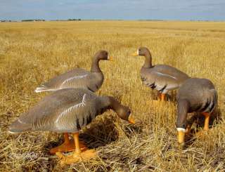 BIG FOOT BIGFOOT FULL BODY SPECKLEBELLY WHITE FRONTED GOOSE MIXED 