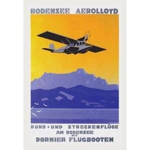   12 x 18 stock. Bodensee Aerolloyd Flying Boat Tours Home & Garden