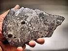 iron meteorite slice  