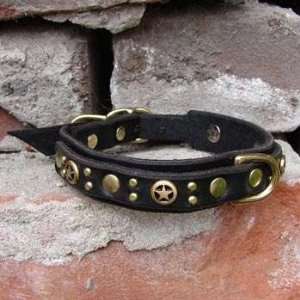  Leather Dog Collar   The Flash