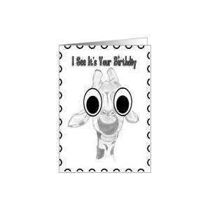    Happy Birthday   Baby Giraffe big eyes ,humor Card: Toys & Games