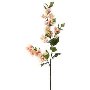  45 Bougainvillea Spray Pink Cream (Pack of 6): Home 