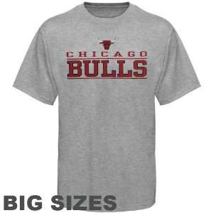  Chicago Bulls Ash Above The Line Big Sizes T shirt (XXXX 