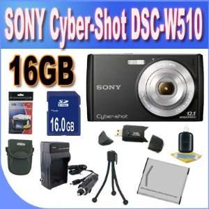 .Sony Cyber Shot DSC W510 12.1 MP Digital Still Camera 