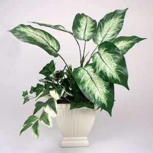  20 Greenery Dieffenbachia Silk: Home & Kitchen