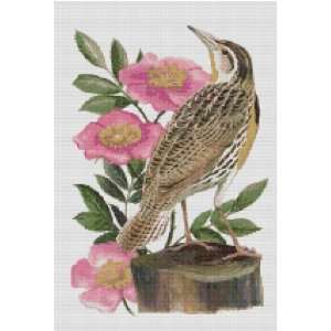  State Bird and Flower Counted Cross Stitch Pattern: Arts, Crafts