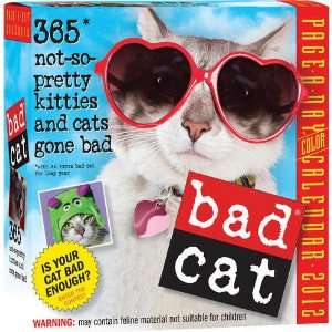  Bad Cat 2012 Daily Box Calendar