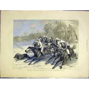  Lord Mayo Hunting Pangsa Bengal Horse Old Print 1872