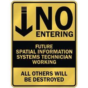NO ENTERING FUTURE SPATIAL INFORMATION SYSTEMS TECHNICIAN WORKING 