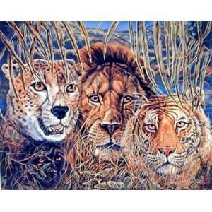  Wild Cat Animal Collage Lion Tiger Leopard And Panther 