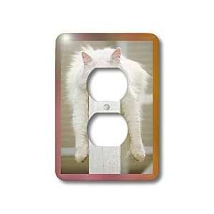 Florene Cats   Fluffy Snooze   Light Switch Covers   2 plug outlet 