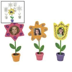     Curriculum Projects & Activities & Plant Life Cycle Toys & Games