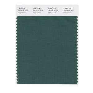  PANTONE SMART 18 5616X Color Swatch Card, Posy Green: Home 