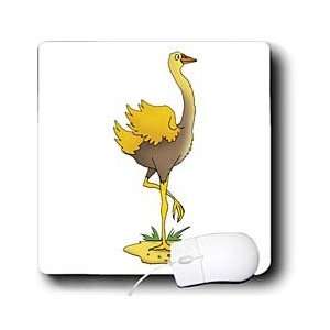     Illustrations for kids   Cute ostrich   Mouse Pads: Electronics