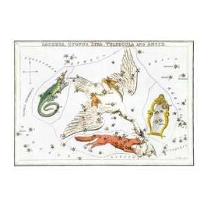   Cygnus and Adjacent Constellations 20x30 poster