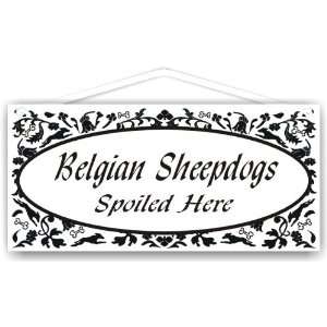 Belgian Sheepdogs Spoiled Here