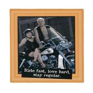 Laid Back Sexy Soft Bodies Ride Fast Magnet Humorous Gag 