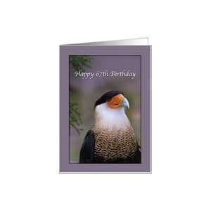    67th Birthday Card with Crested Caracara Bird Card: Toys & Games