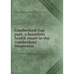   resort in the Cumberland Mountains: Cumberland Gap park co. [from old