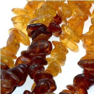  Baltic Amber Graduated Color Chips Beads 5 7mm / 15.5Inch 
