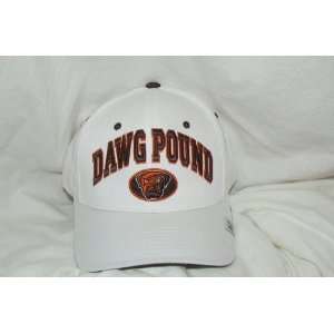 NFL Cleveland Browns Dawg Pound Hat Cap:  Sports 