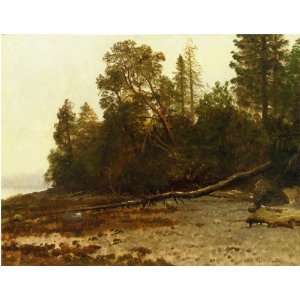 Oil Painting The Fallen Tree Albert Bierstadt Hand 