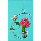 The Brass Butterfly Hanging C Plant Rooter 1132PB