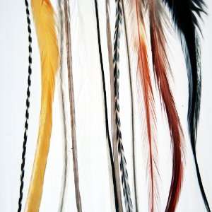  Natural Beauty   Feather Hair Extension: Beauty